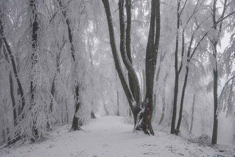 Изморозьphoto preview