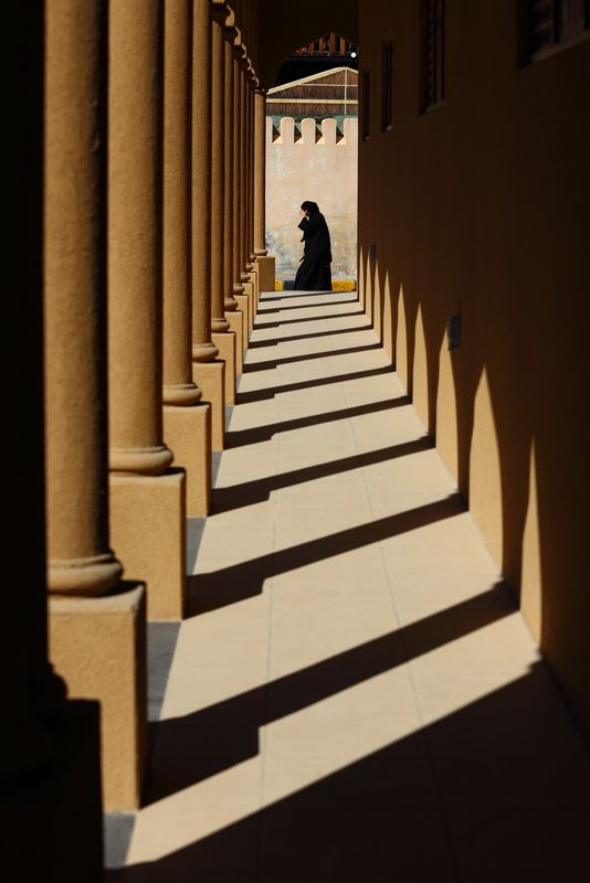 Полосатаяphoto preview