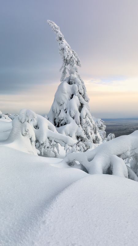 Зима в Пермском крае фото превью