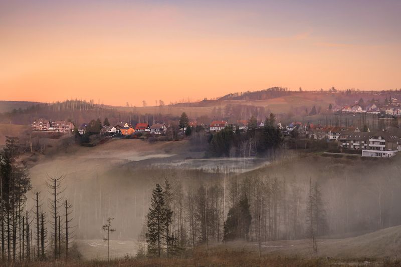 Туманное утро  (Harz)photo preview