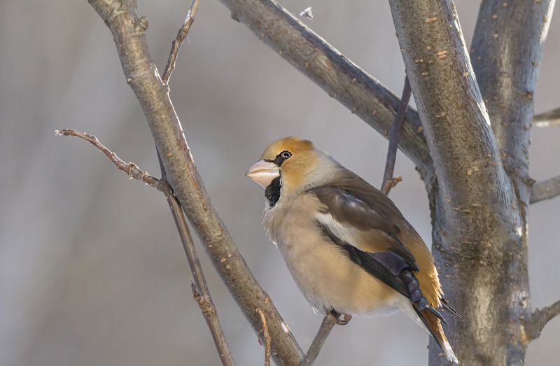 Эй, вы, там, наверху!photo preview