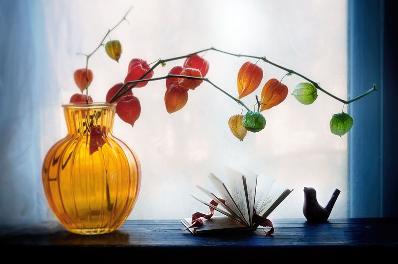 Ну напой мне весенний мотив!photo preview