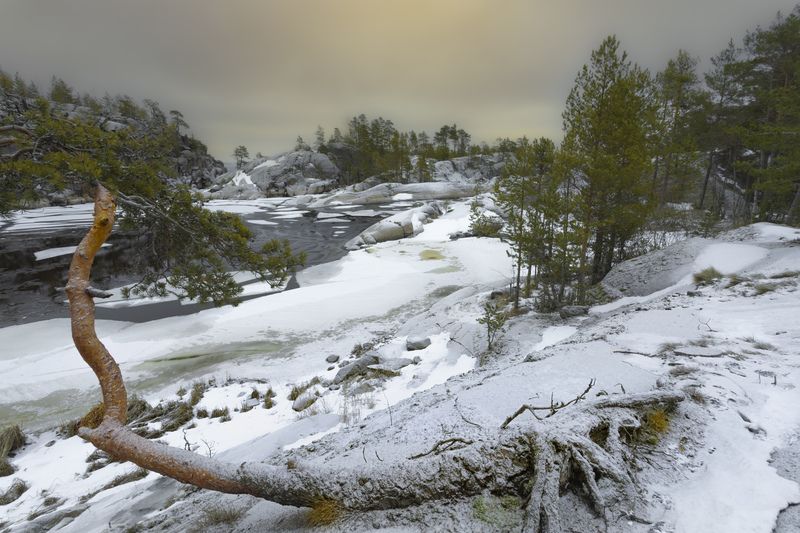 В Ладожских шхерахphoto preview