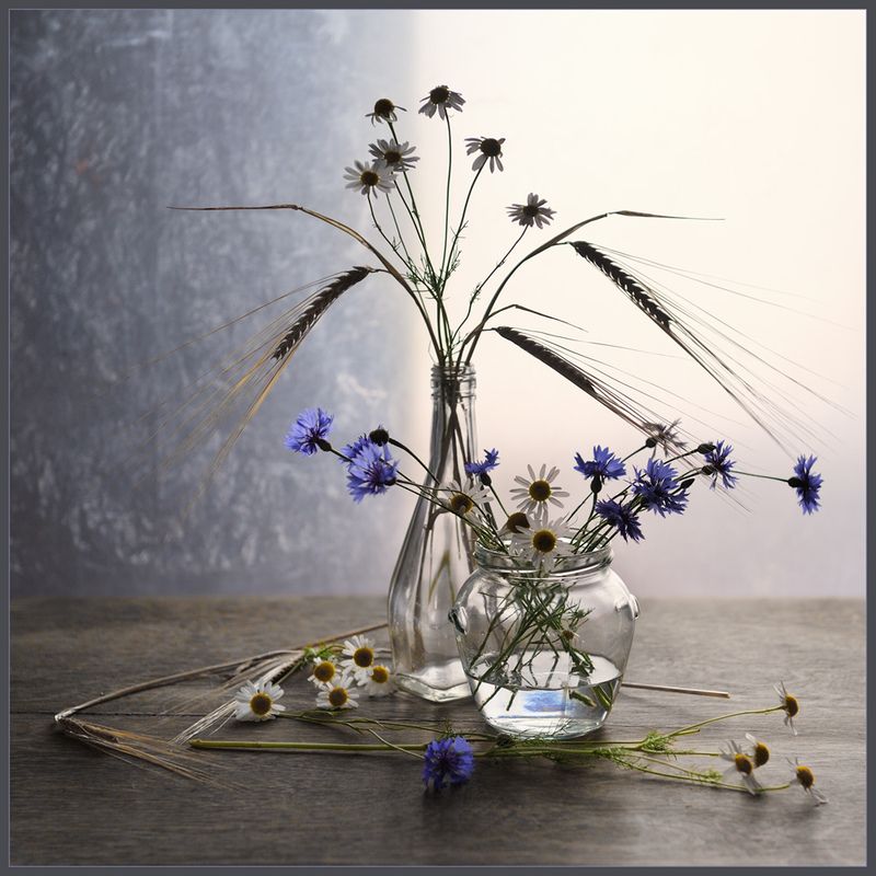 Июльский приветphoto preview