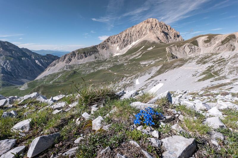 Солнечный день в горахphoto preview