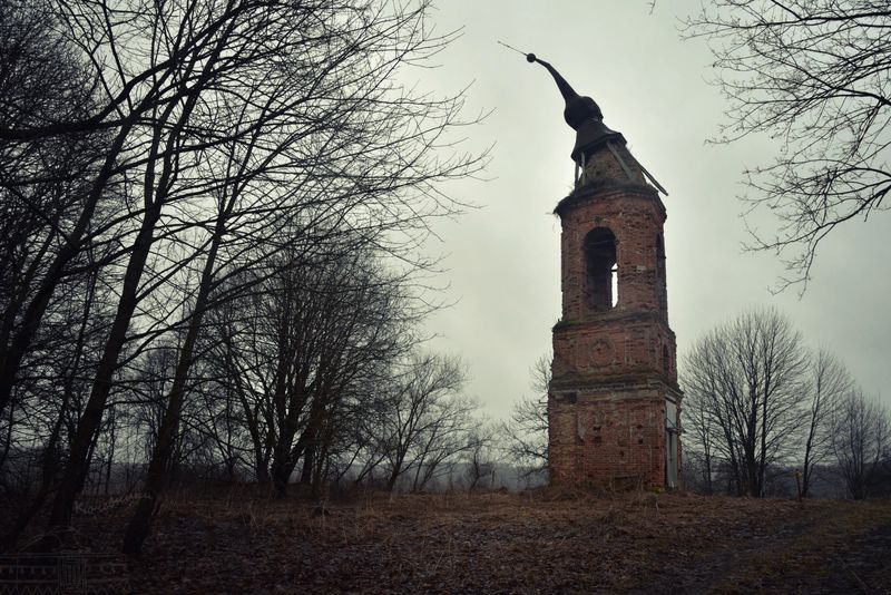 Край ты мой, пустырьphoto preview