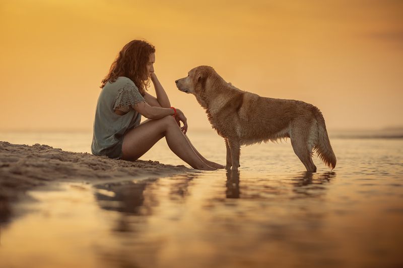 photography,dog,pets,animal,beach,water,sunset,golden,hour,labrador,retriever,woman,girl,wet,warm,colors,nature,explore,outdoor,nature,friendship Maggie&Patricia фото превью