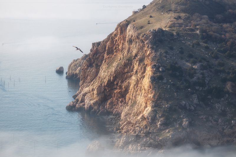 крым, балаклава, севастополь, облака, пейзаж, море, птицы, зима Февральphoto preview