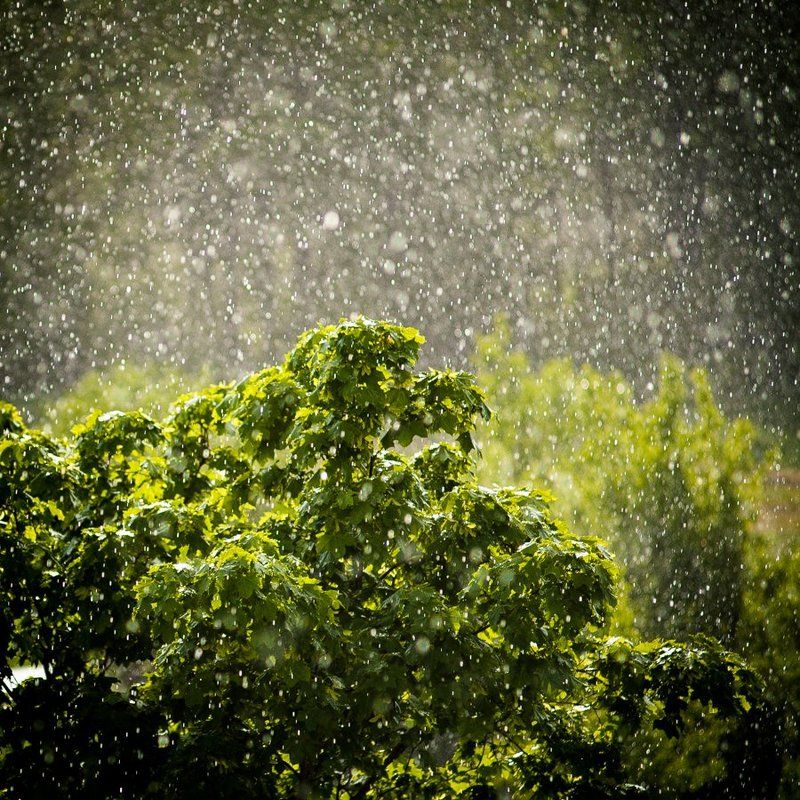 rain Rainyphoto preview