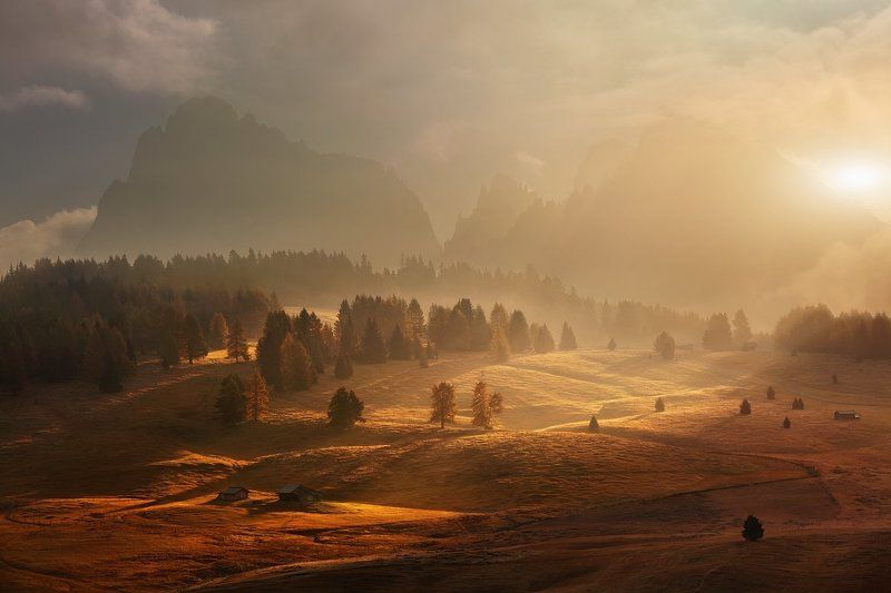 Daniel Rericha, Czech Republic [TOP100 2015]