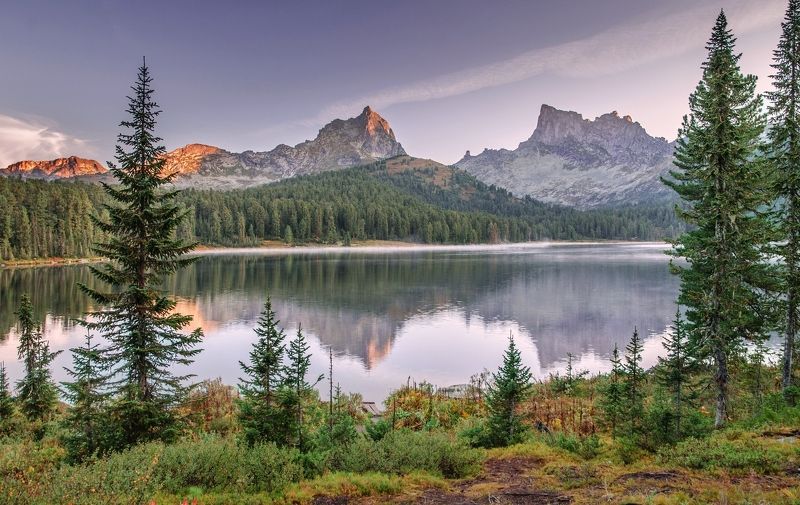 на Светлом в сиреневомphoto preview