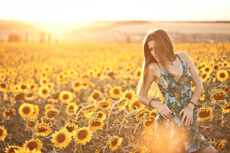 several miles from the sunphoto preview