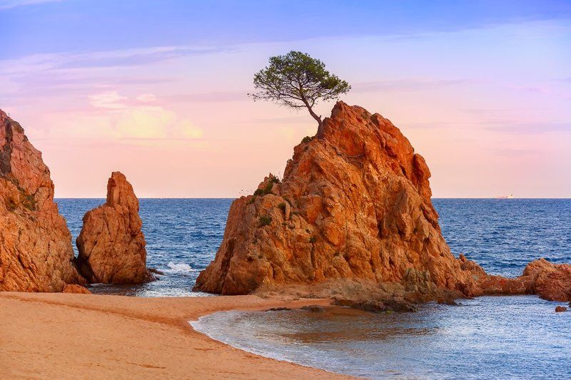 скала, дерево, пляж, море, небо, закат, рассвет, Испания, Каталония, Коста Брава, Тосса де Мар, Барселона Скала у моря, четыре времени сутокphoto preview