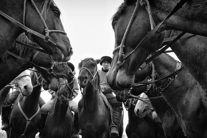 Кокпар в Южном Казахстане.photo preview