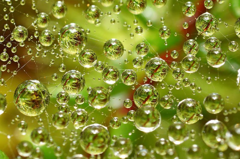 3d, вода, дождь, капли, коми, макро, печора,паутина Водный мир-3Dphoto preview