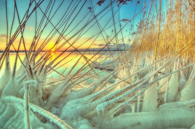Lewiathan, Latvia