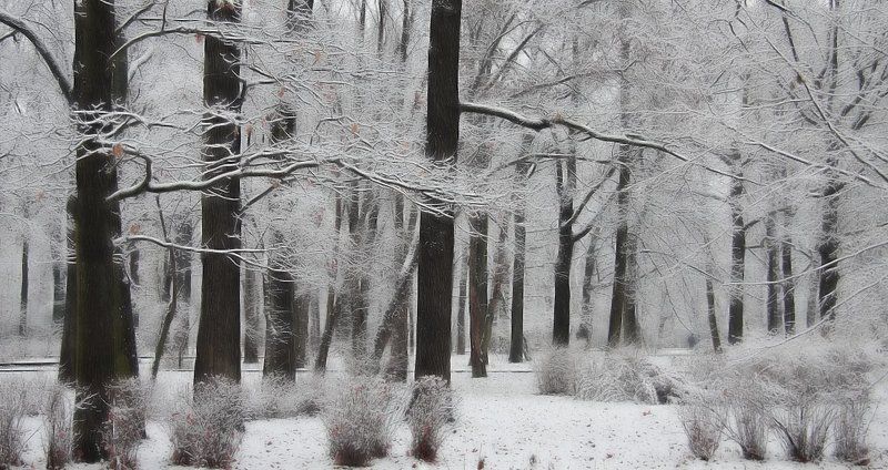 Паркphoto preview