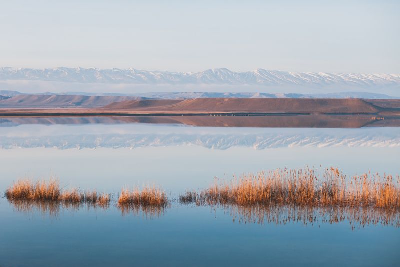 Зимнее утроphoto preview