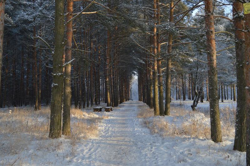 Natalya, Estonia