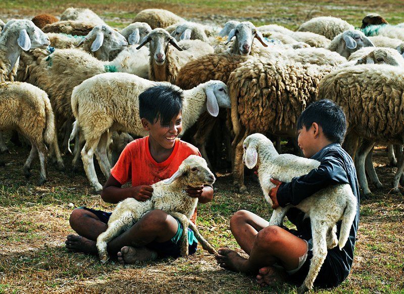Trần Việt Văn, Vietnam