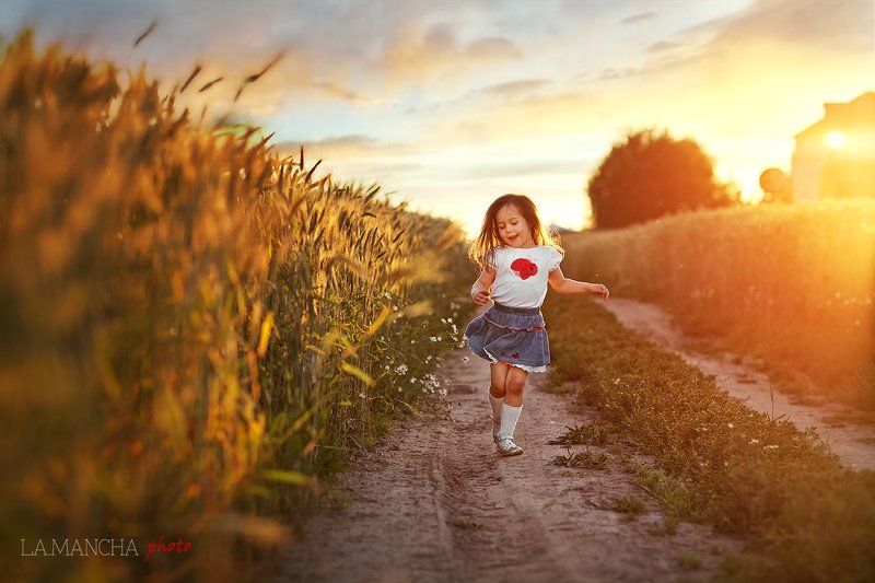 Девочка, Закат, Лето, Поле, Пшеница Летний вечерphoto preview