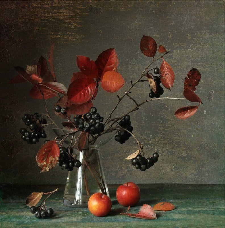 Листья, Натюрморт, Осень, Сливы, Чёрная рябина photo preview