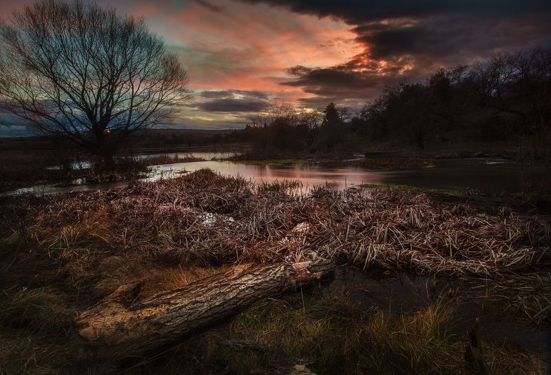 Начало рекиphoto preview