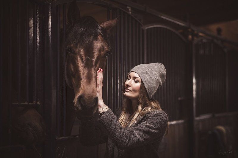 Horse, Portrait, Stable, Woman True lovephoto preview