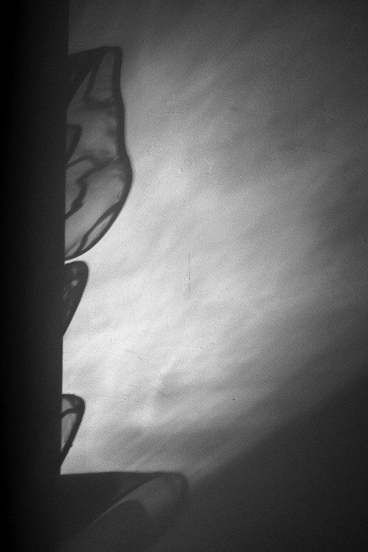 Without contentphoto preview