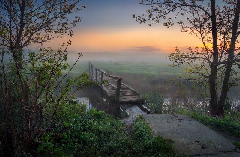 утро, пейзаж, река, туман, деревья, мостик, мосток, sony Мосток...photo preview