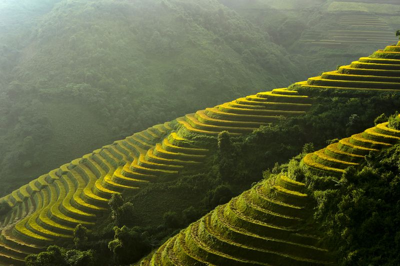Asia, Asian, Field, Paddy, Rice, Terraces rice field terrace rice fieldphoto preview