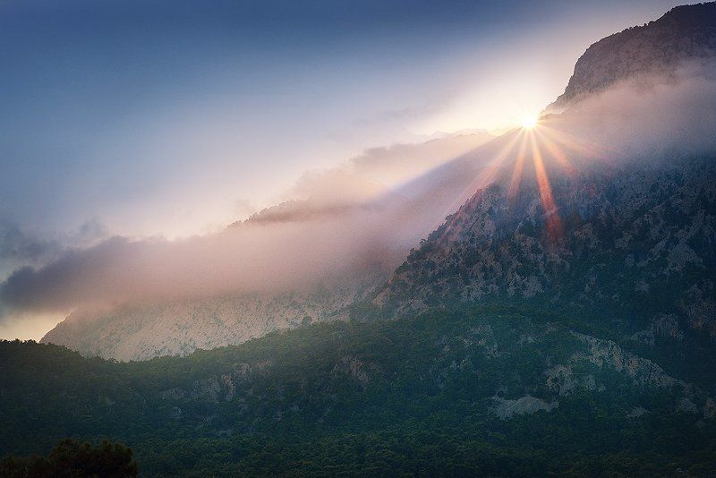 nikon Sun is Shinephoto preview