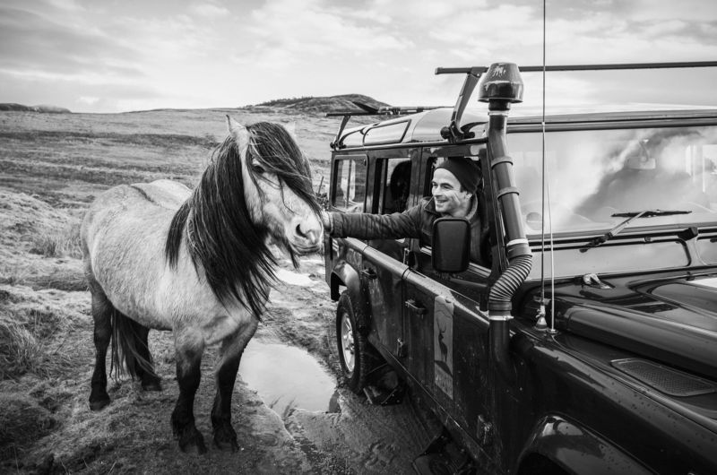 Интересная встречаphoto preview