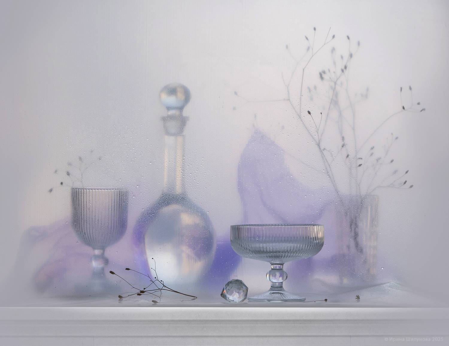 , Шипунова Ирина