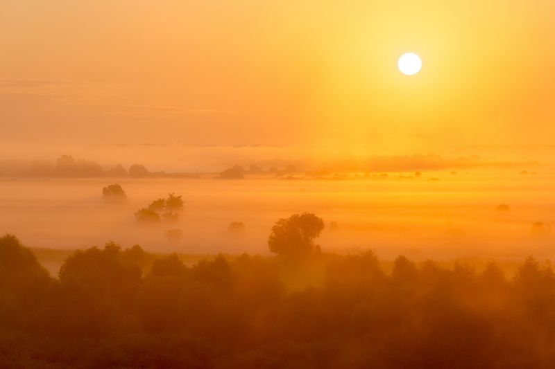 Красный туманphoto preview