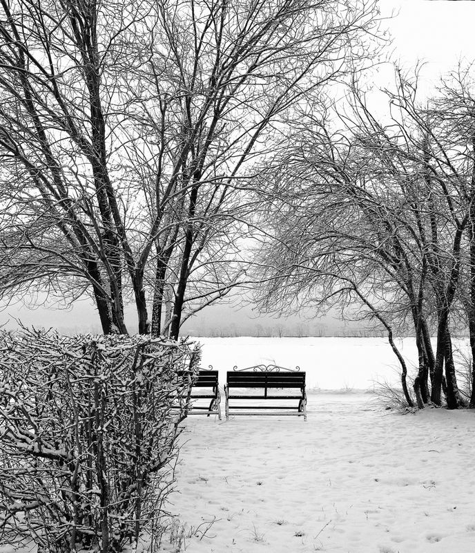 пейзаж, зима, город, снег, скамейки Зимняя графикаphoto preview