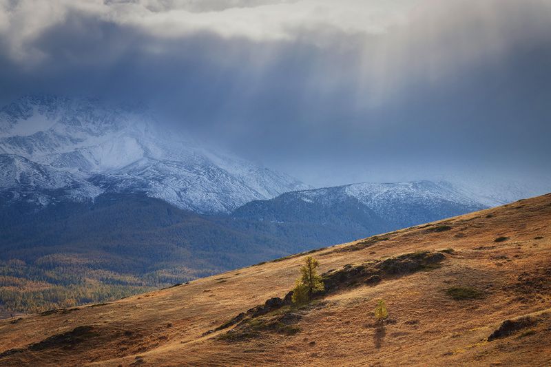 Горный Алтайphoto preview