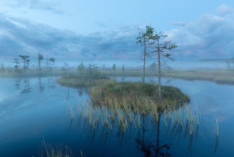 болото, карелия, туман, утро, рассвет, фототур За час до рассвета фото превью