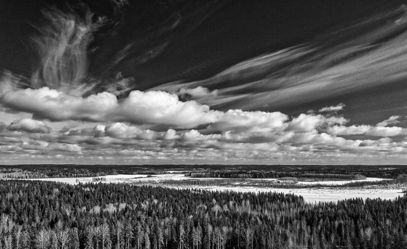 Весна.photo preview