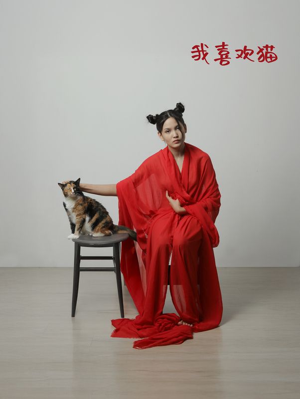 Гладить кошечкуphoto preview