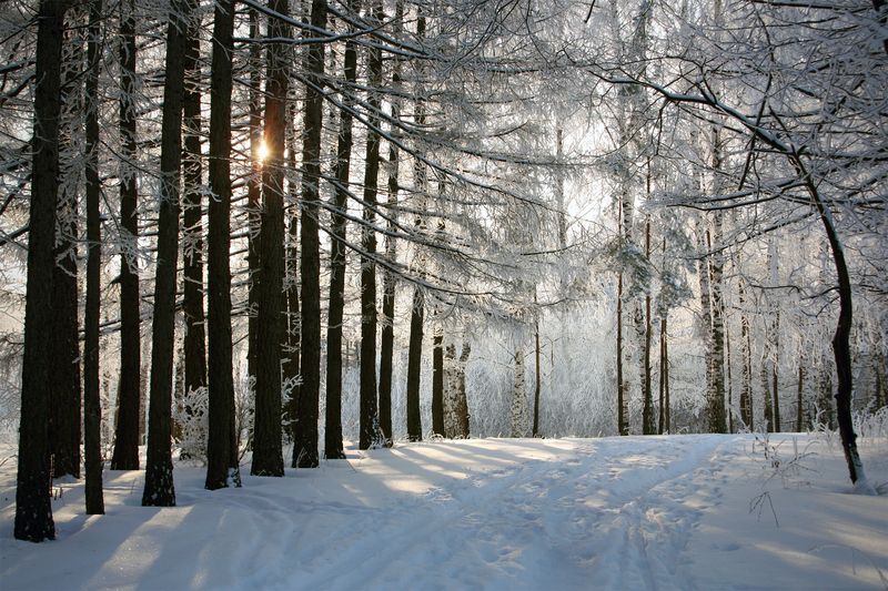 Рождествоphoto preview