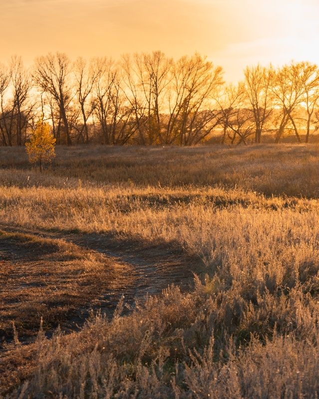 Тобольский закатphoto preview
