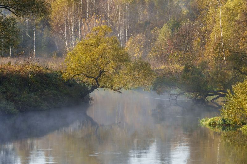 Осень, очей очарованье...photo preview