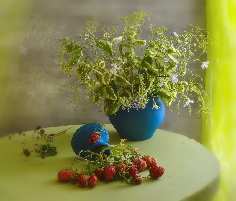 натюрморт,композиция,свет,лето,букет ***photo preview