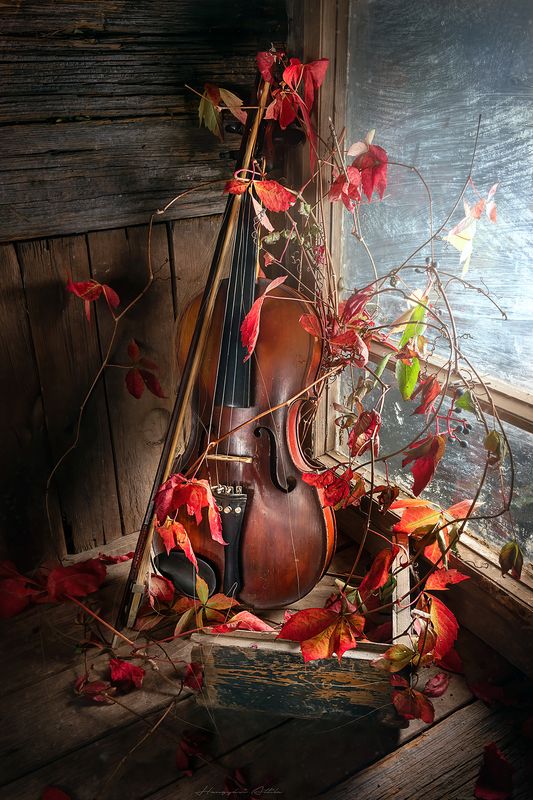 still life, violin, red leaves Still life with violinphoto preview