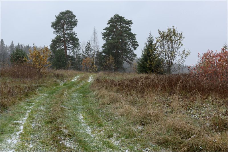Таинство первого снегаphoto preview