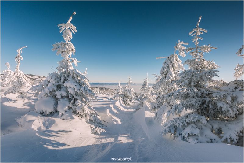 polska, zima ***photo preview