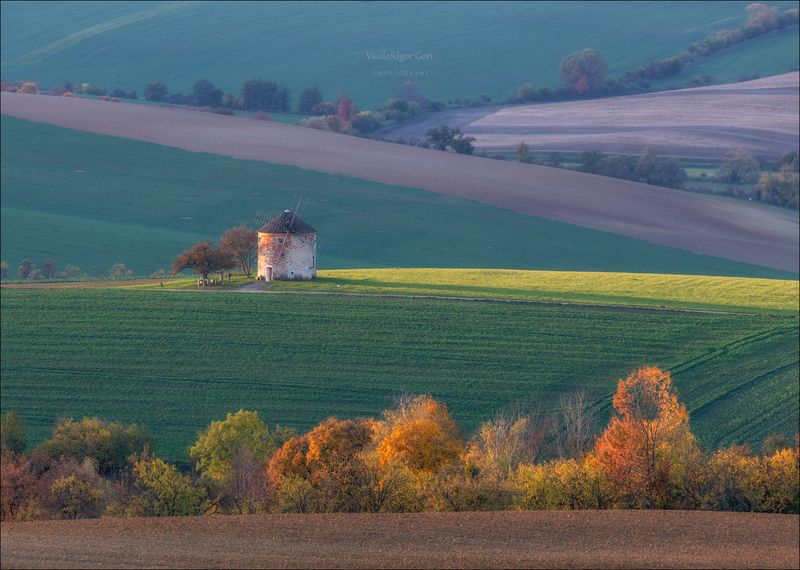 южная моравия,пейзаж,линии,south moravian,ветрякlines,свет,czech,осень,чехия,landscapes,мельница Краски осени на Мораве фото превью
