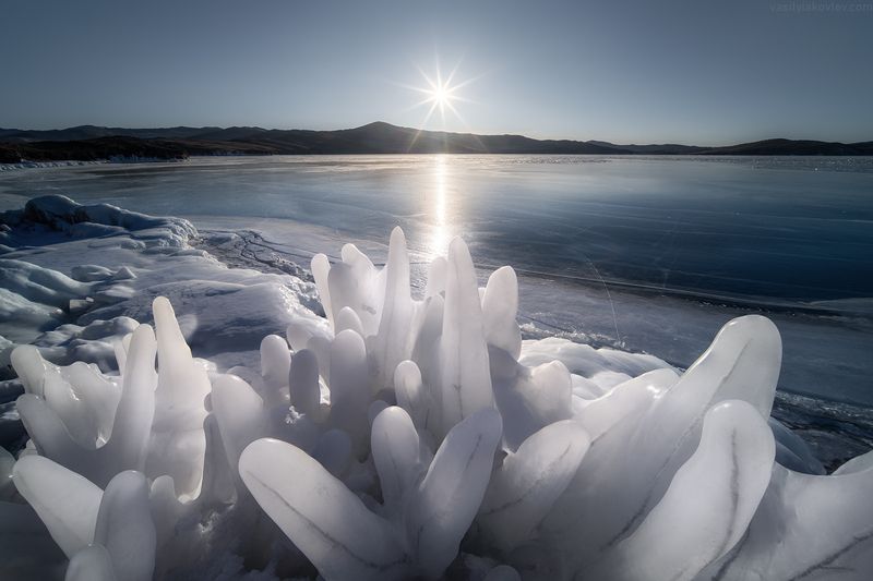 бай Ледяные кораллыphoto preview