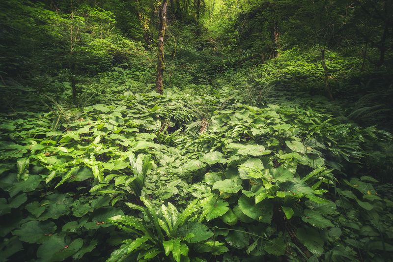 Кислородphoto preview